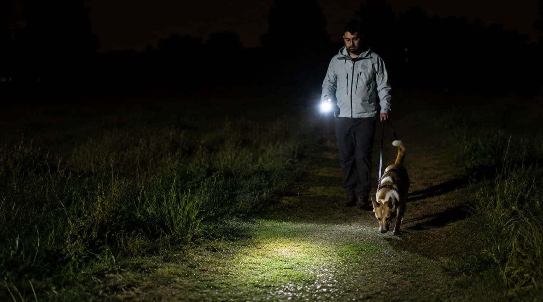 best rechargeable dog walking flashlight i'm Gismo Connectable 5 Must-Have LED Flashlights for