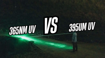 365nm vs 395nm UV Flashlight