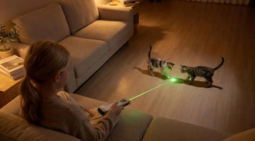 Green Laser vs Red Laser Flashlight: Which Is Better?