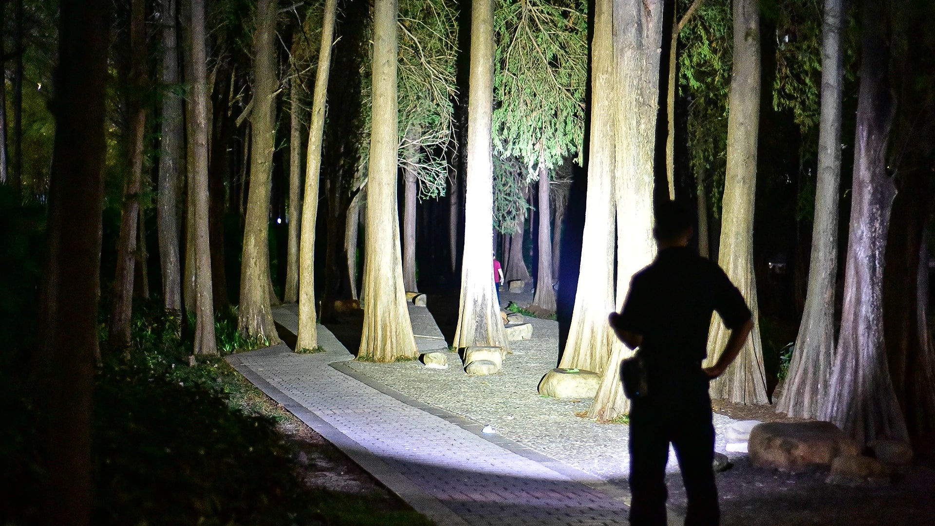 T series is designed for hunters, army force or security guards, etc.
