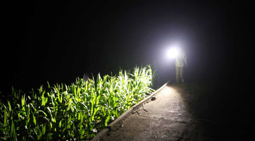 Wuben X5 vs. Traditional Searchlights