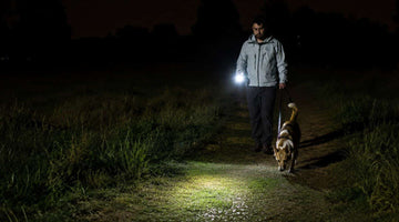 Best Flashlights for Dog Walking at Night