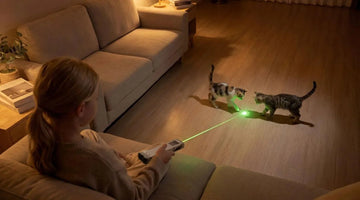 Green Laser vs Red Laser Flashlight: Which Is Better?