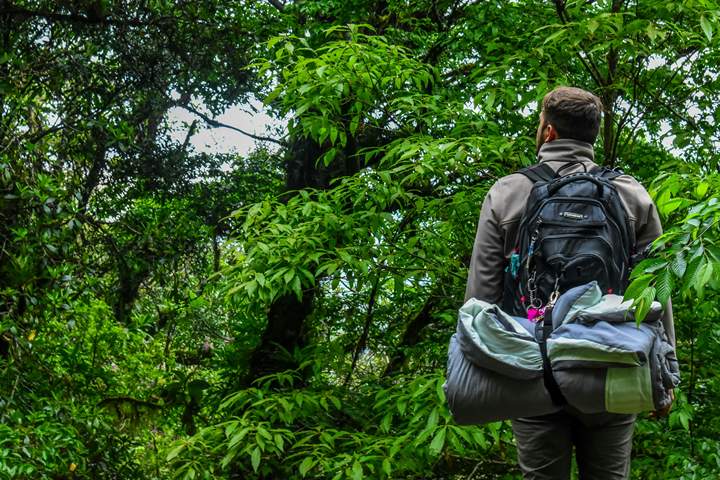 Essential Gear and Items: What to Bring When Camping