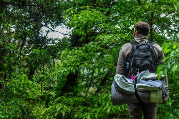 Essential Gear and Items: What to Bring When Camping
