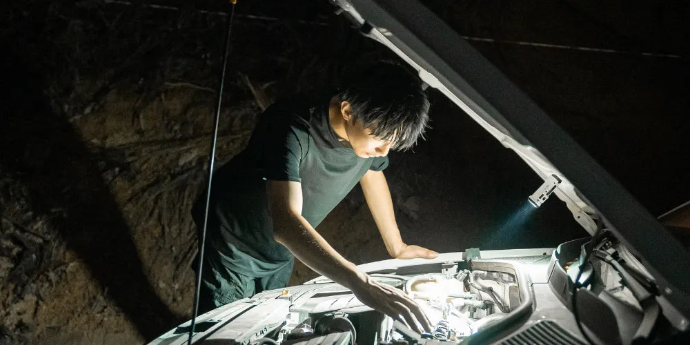 Maintenance