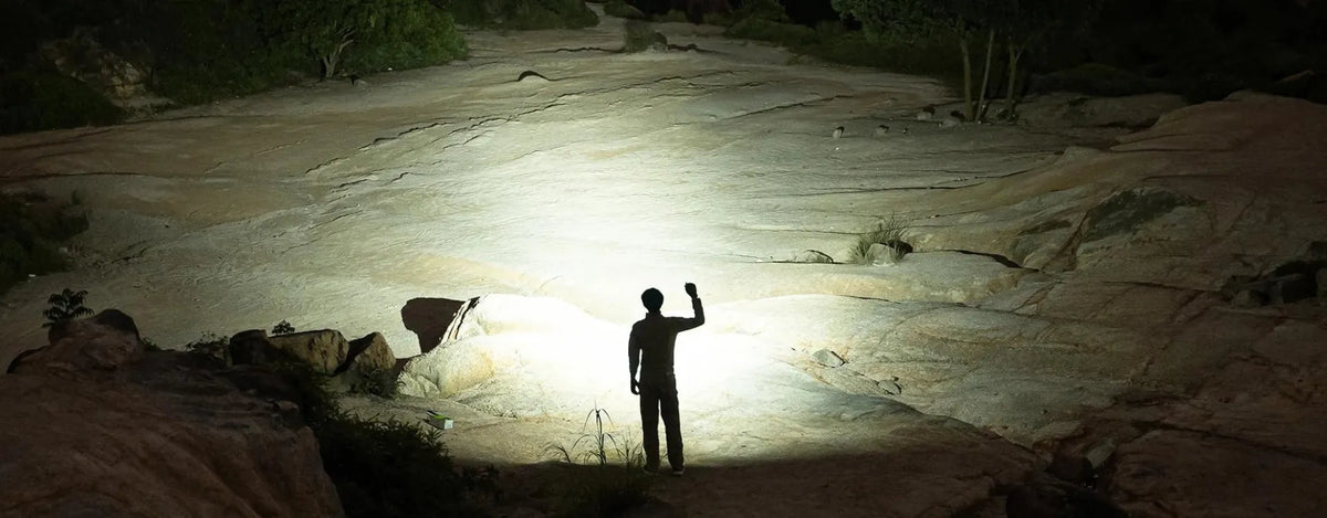 X4 flood and spot beam lighting scene