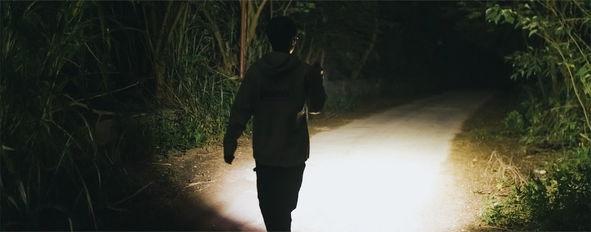 Night Walks