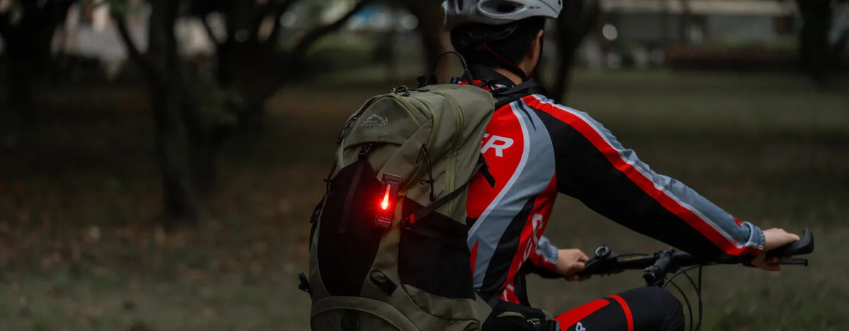 Signal Light