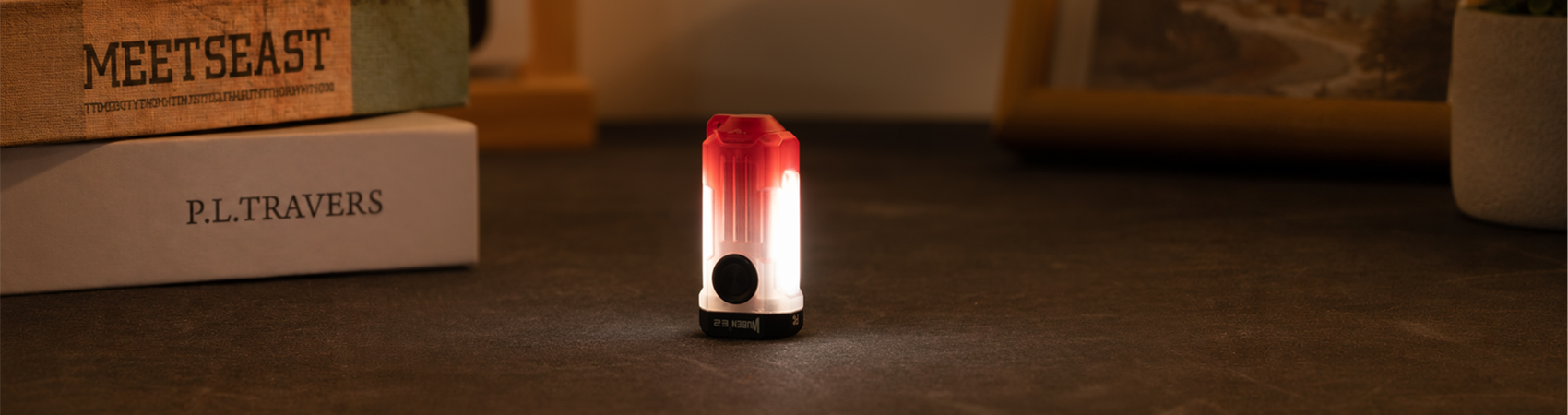E2 Pulse desk companion