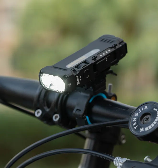 Bike Mount
